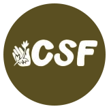 csf instagram logo