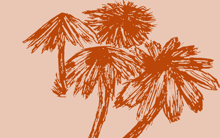 Monochrome graphic orange dandelions 