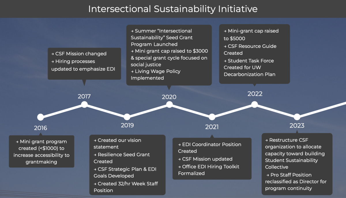 Intersectional sustainability initiative infographic