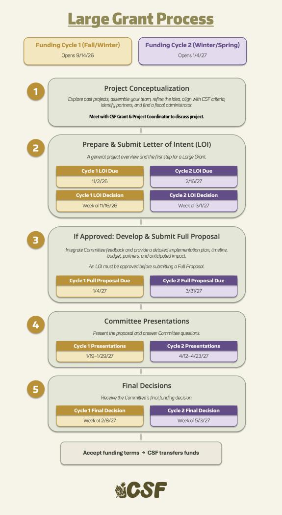 Large grant visual map process