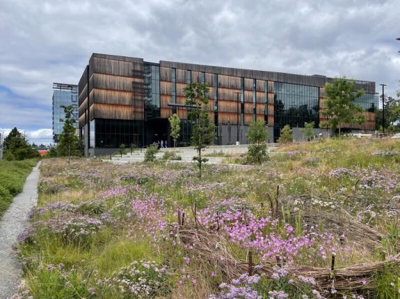 Meadow with Burke museum and cloudy skies in background 