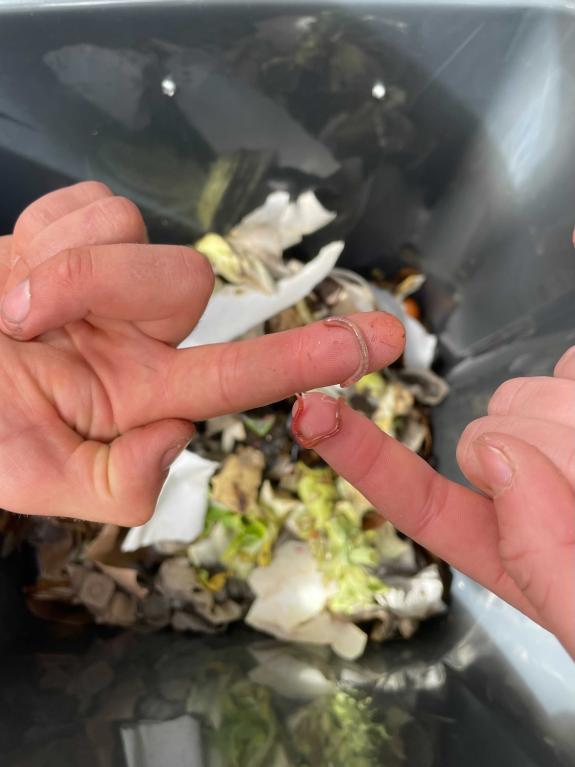 Worms being held by someones fingers food scraps in bins in background