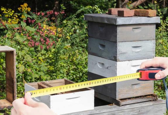 Picture of bee hive and measuring tape