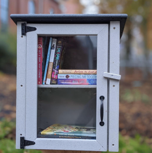 Photo of a little free library with brick building in background 