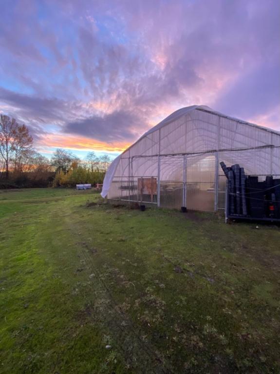 Sunset in background of nursery greenhouse 