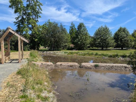 Picture of pond with green trees and blue sky in the background 