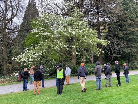 Group of people on tree tour 