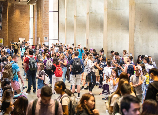 Growth of Transfer Students