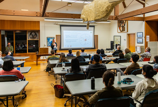 Leadership through Sustained Dialogue