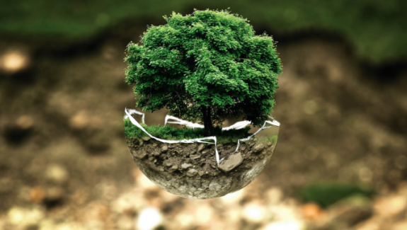 Incorporating Multiple Knowledge Systems: The Future of Education