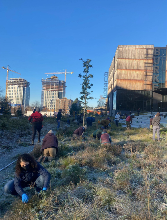 People working on the Burke Meadow