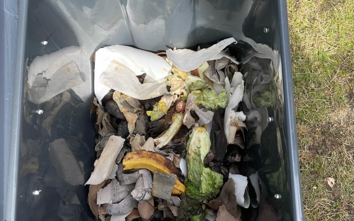 Open worm bin with food scraps and worms 