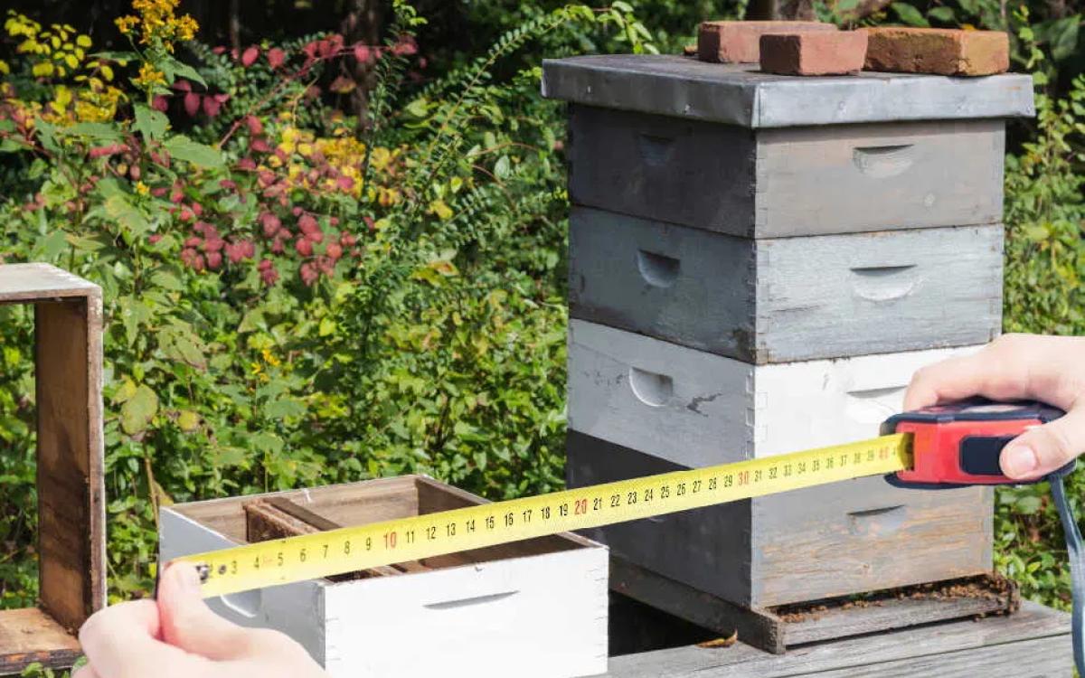 Picture of bee hive and measuring tape