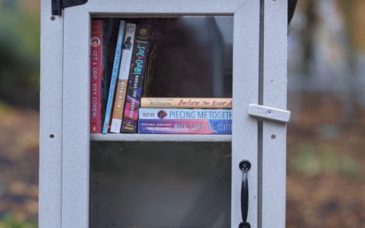 Photo of a little free library with brick building in background 