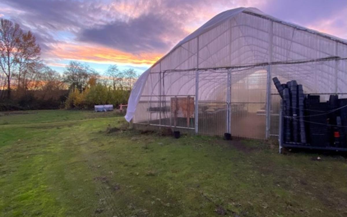 Sunset in background of nursery greenhouse 