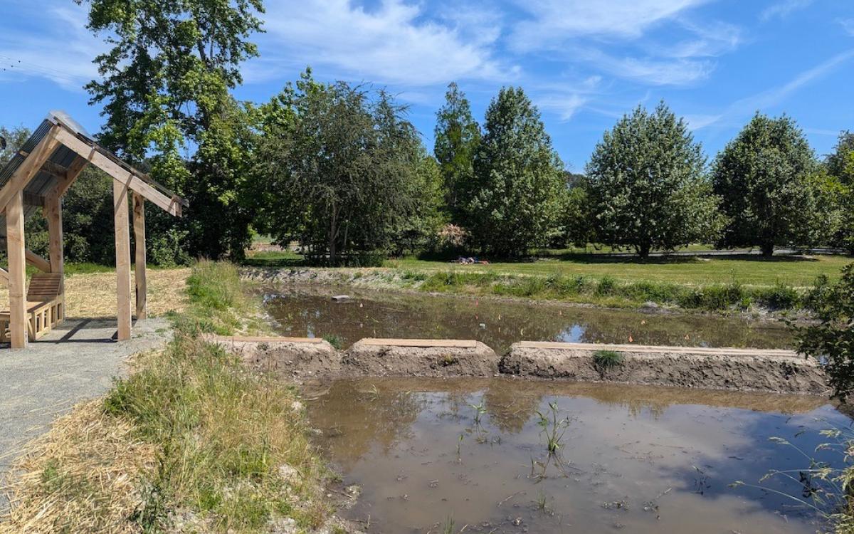 Picture of pond with green trees and blue sky in the background 