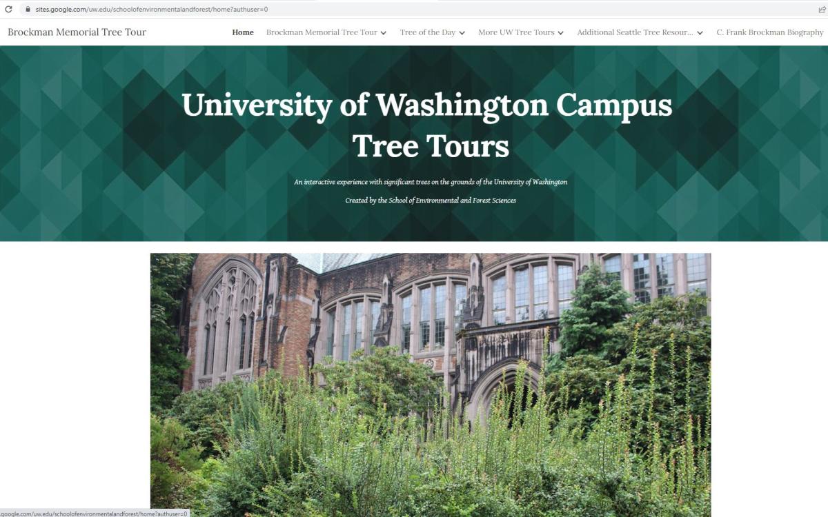 Cover page for tree tour info website 