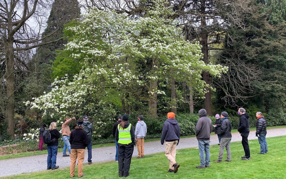 Group of people on tree tour 