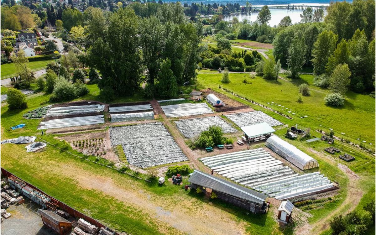 High view of the UW Farm and its many structures and paths 