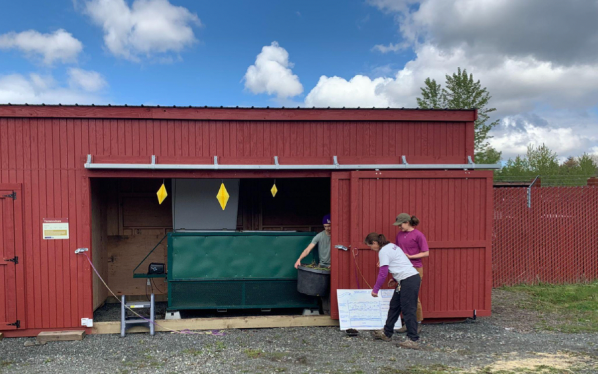 Picture of Vermiculture bin at UW farm