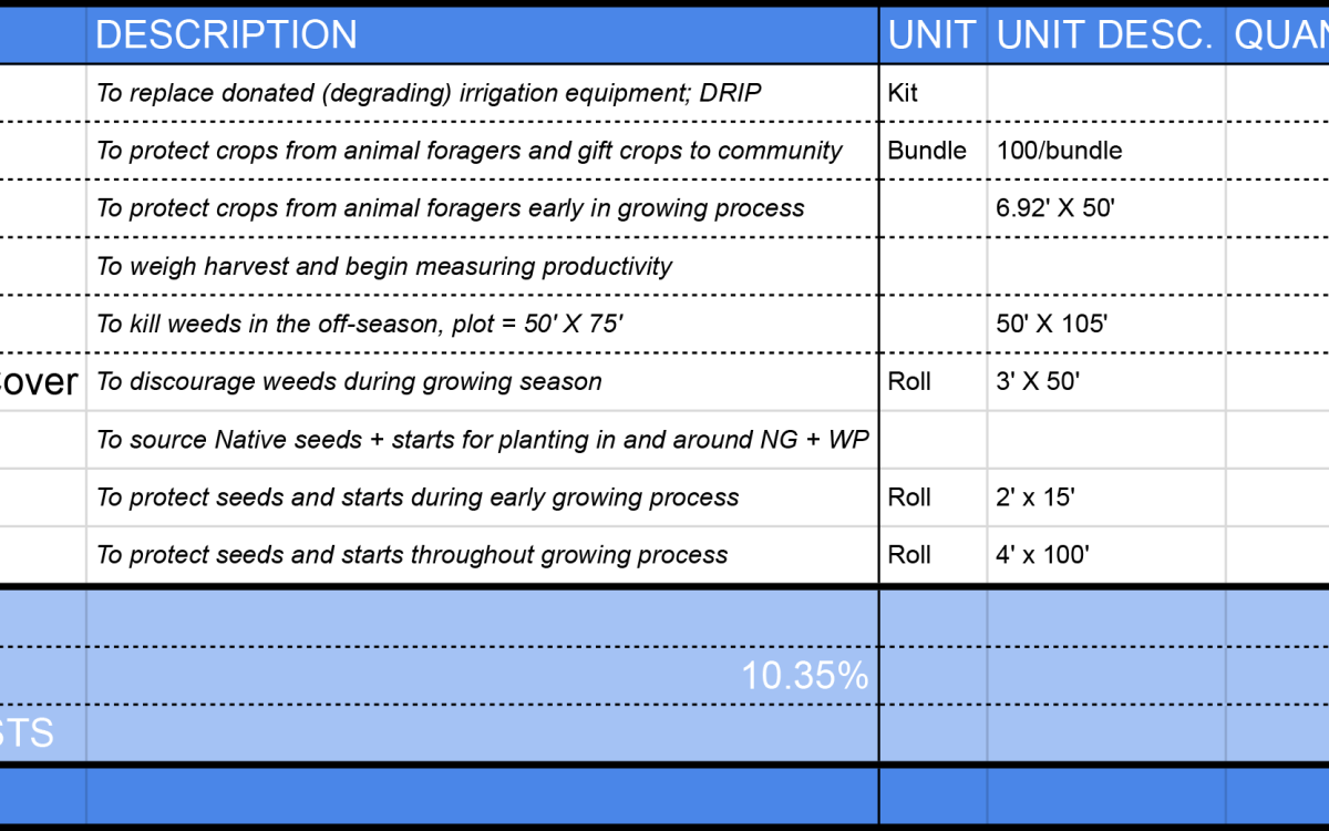 An image of a summary budget ask detailing the item, its cost, and the ask total.