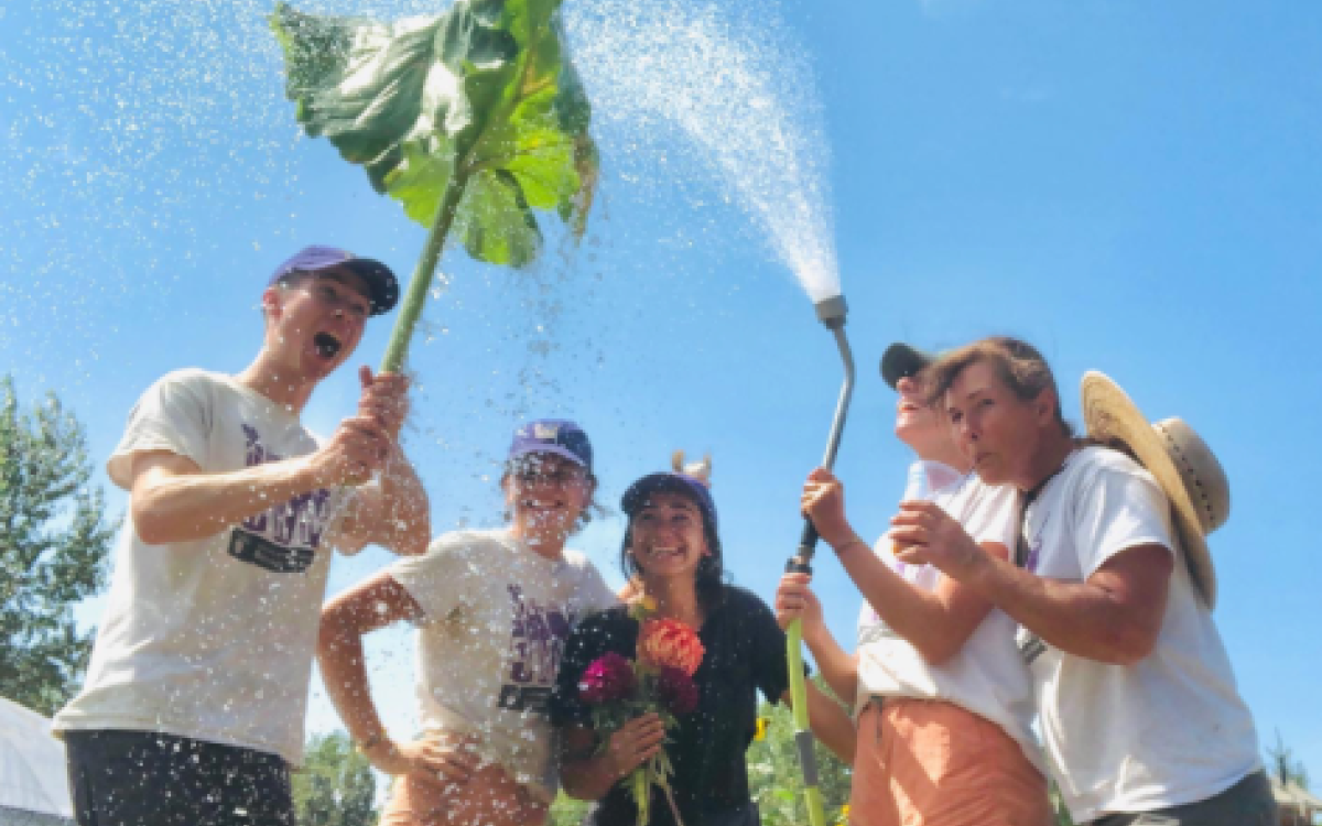 Expanding Education and Outreach at the UW Farm