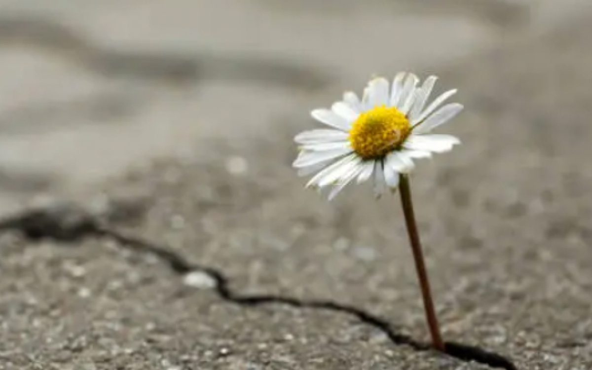 Individuals Standing Against Interpersonal Violence (ISAIV)