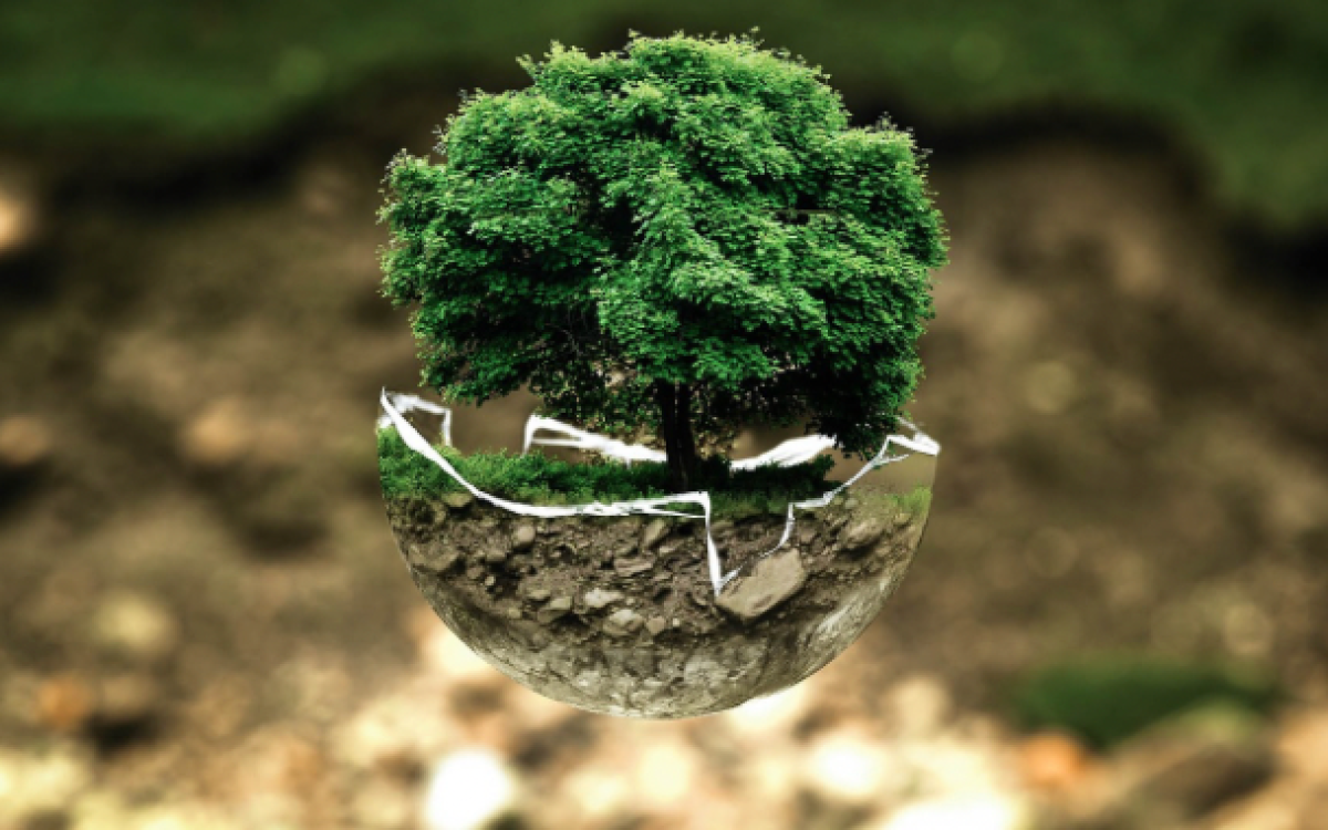 Incorporating Multiple Knowledge Systems: The Future of Education