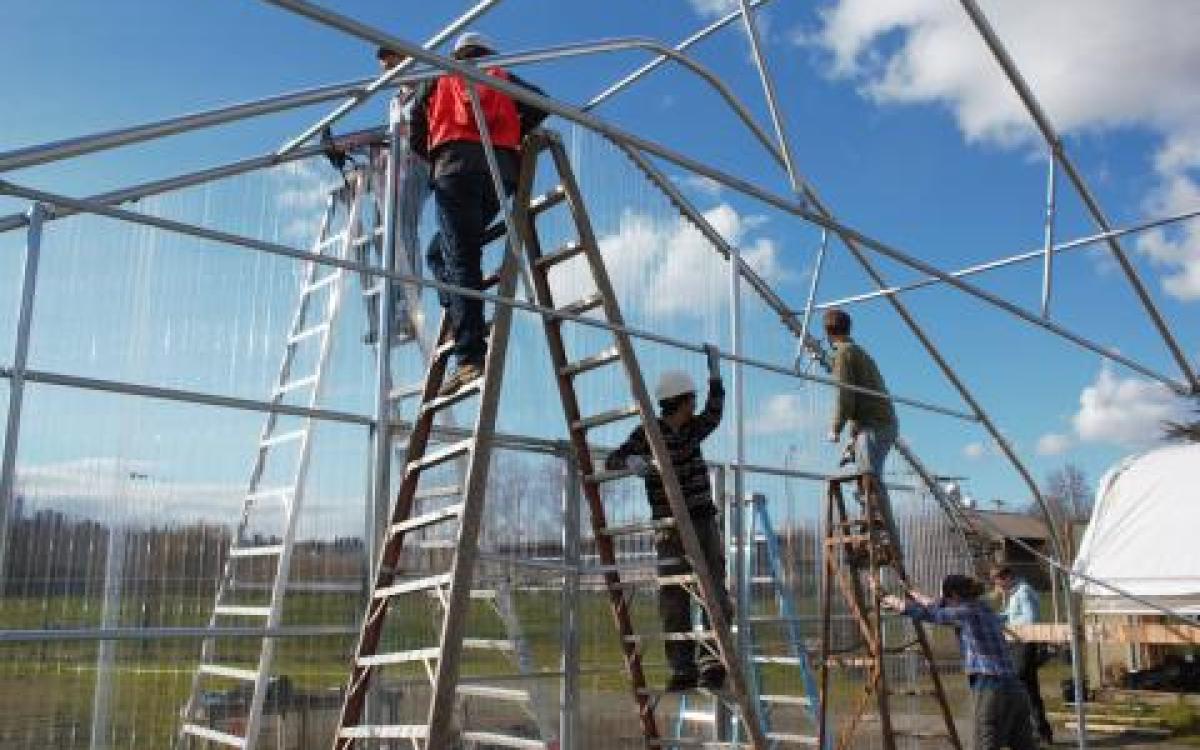 People on ladders assembling a greenhouse