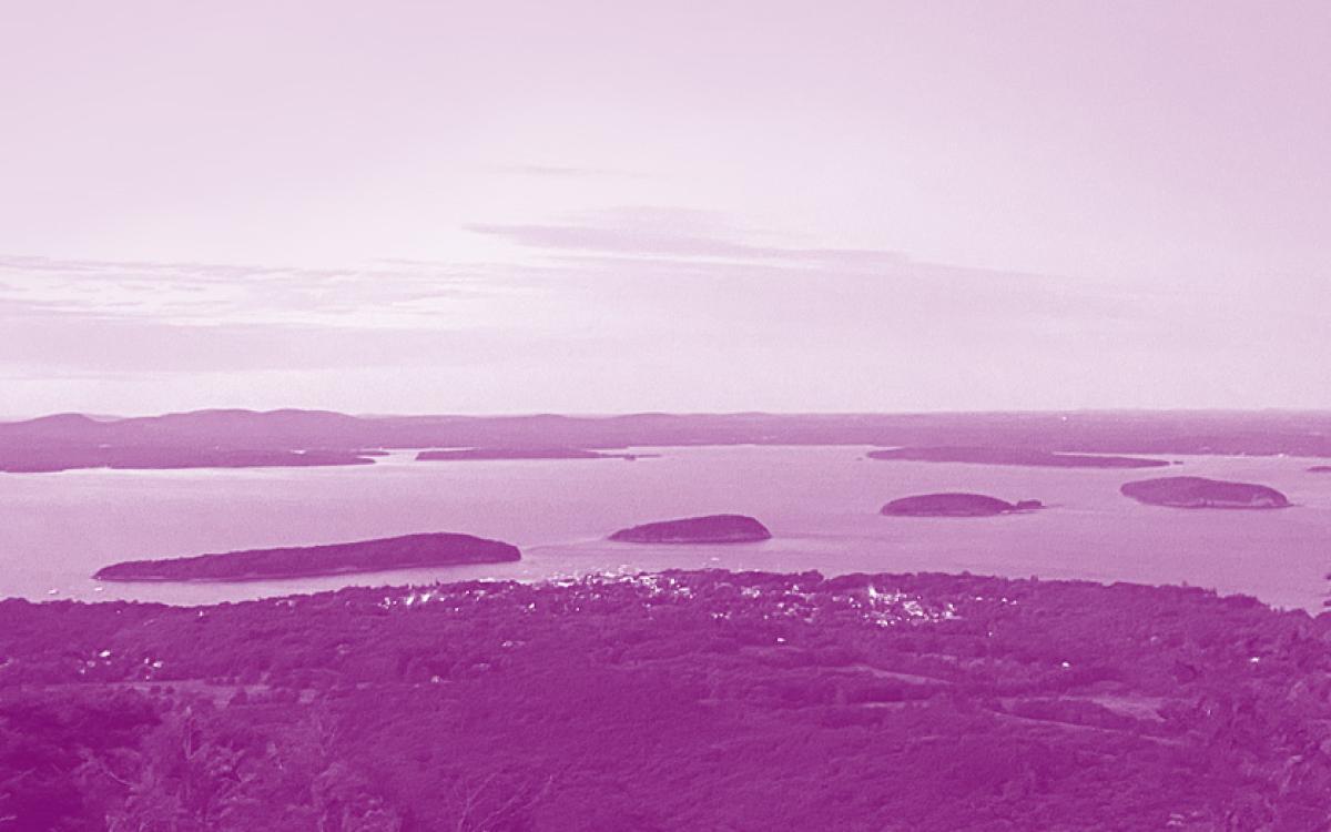 View of Puget Sound purple duotone 